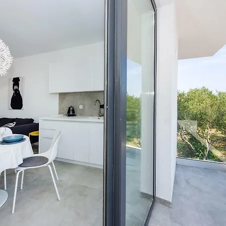 Apartment D. Marine