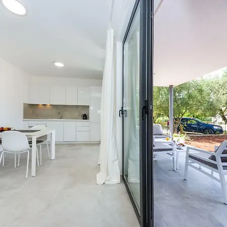 D. Marine Appartement